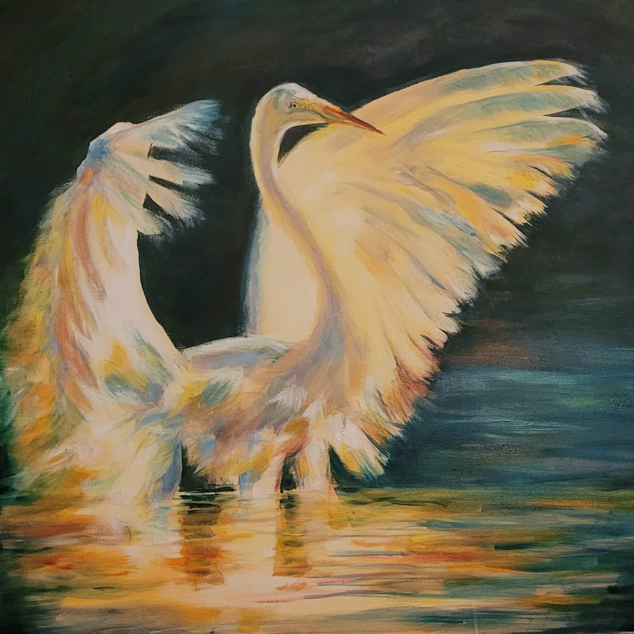 egret in light