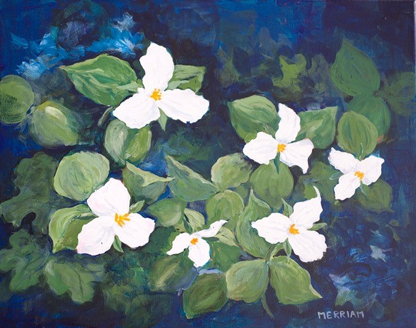 meandering acrylic