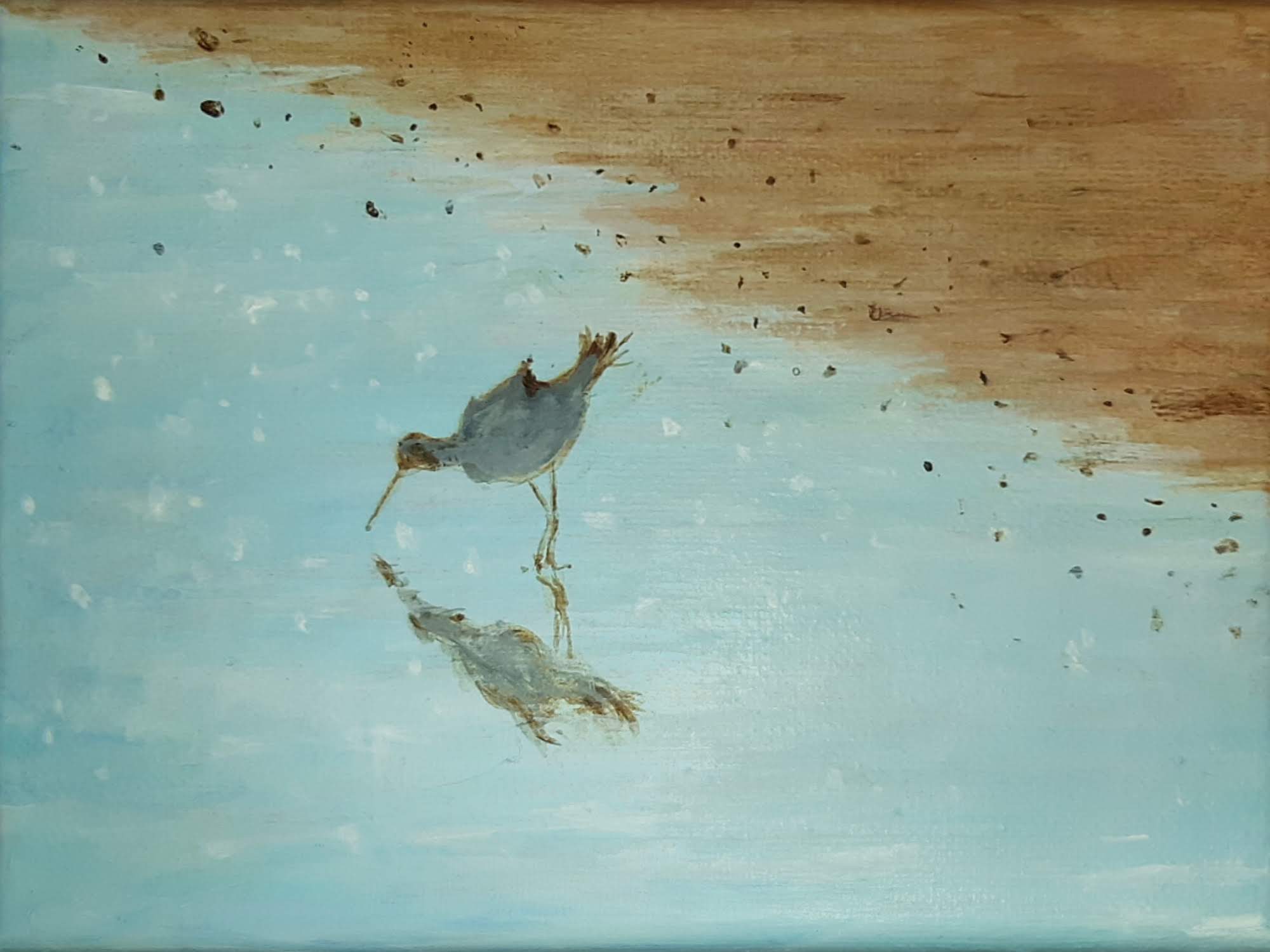 sand piper