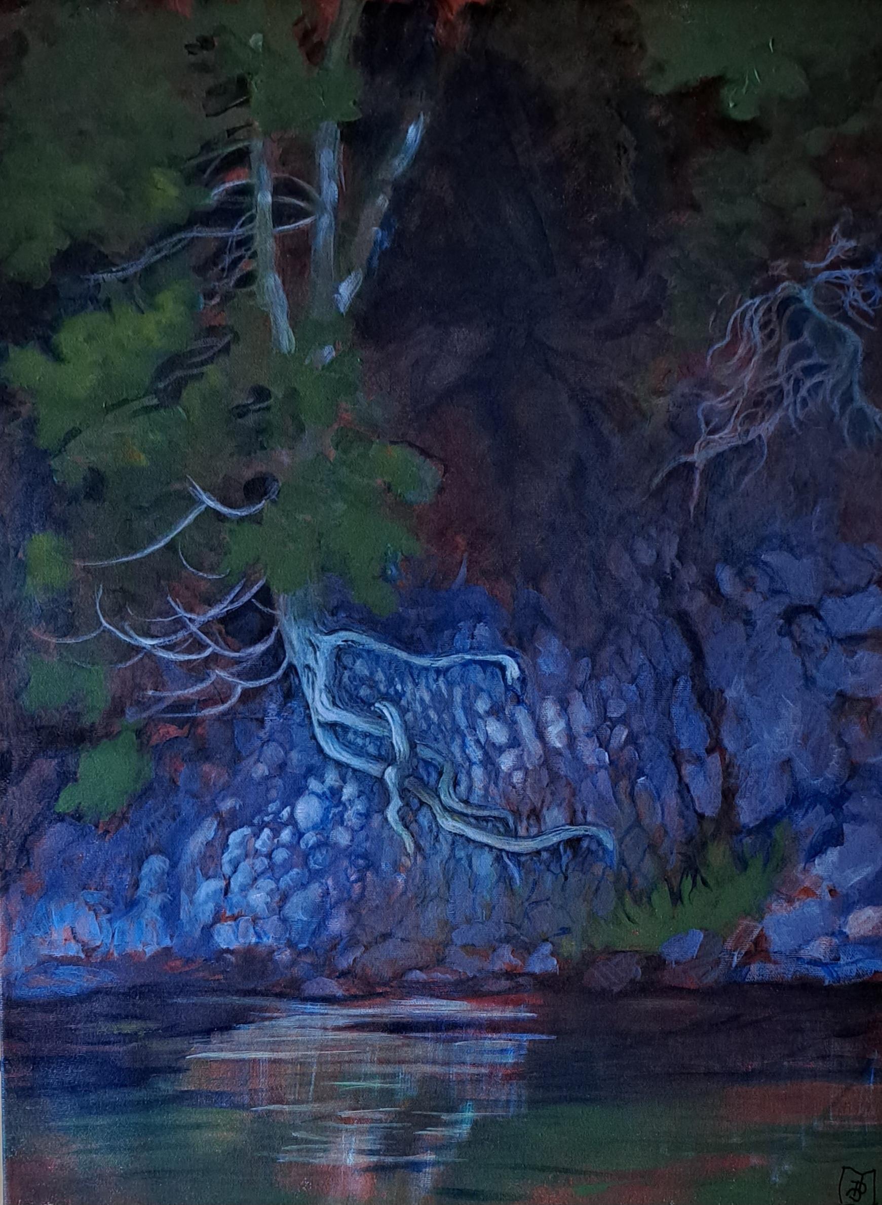sheep island opinicon lake oil $300(1)