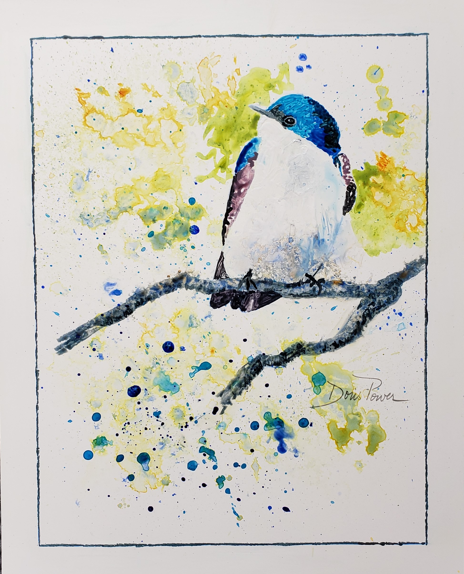 yupo tree swallow june 2024