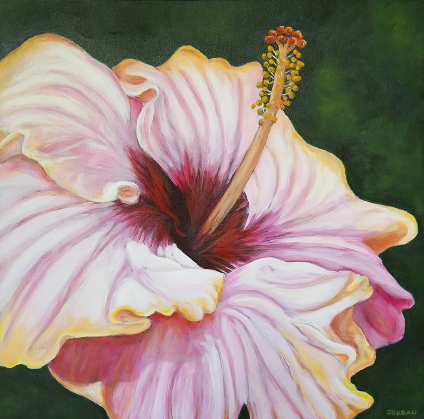 jordan kates hibiscus(1)