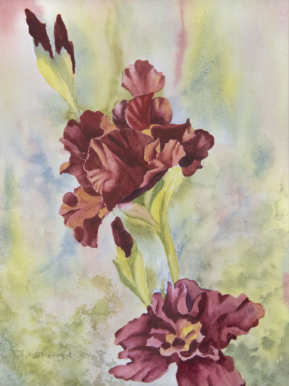sherry rogers iris(1)