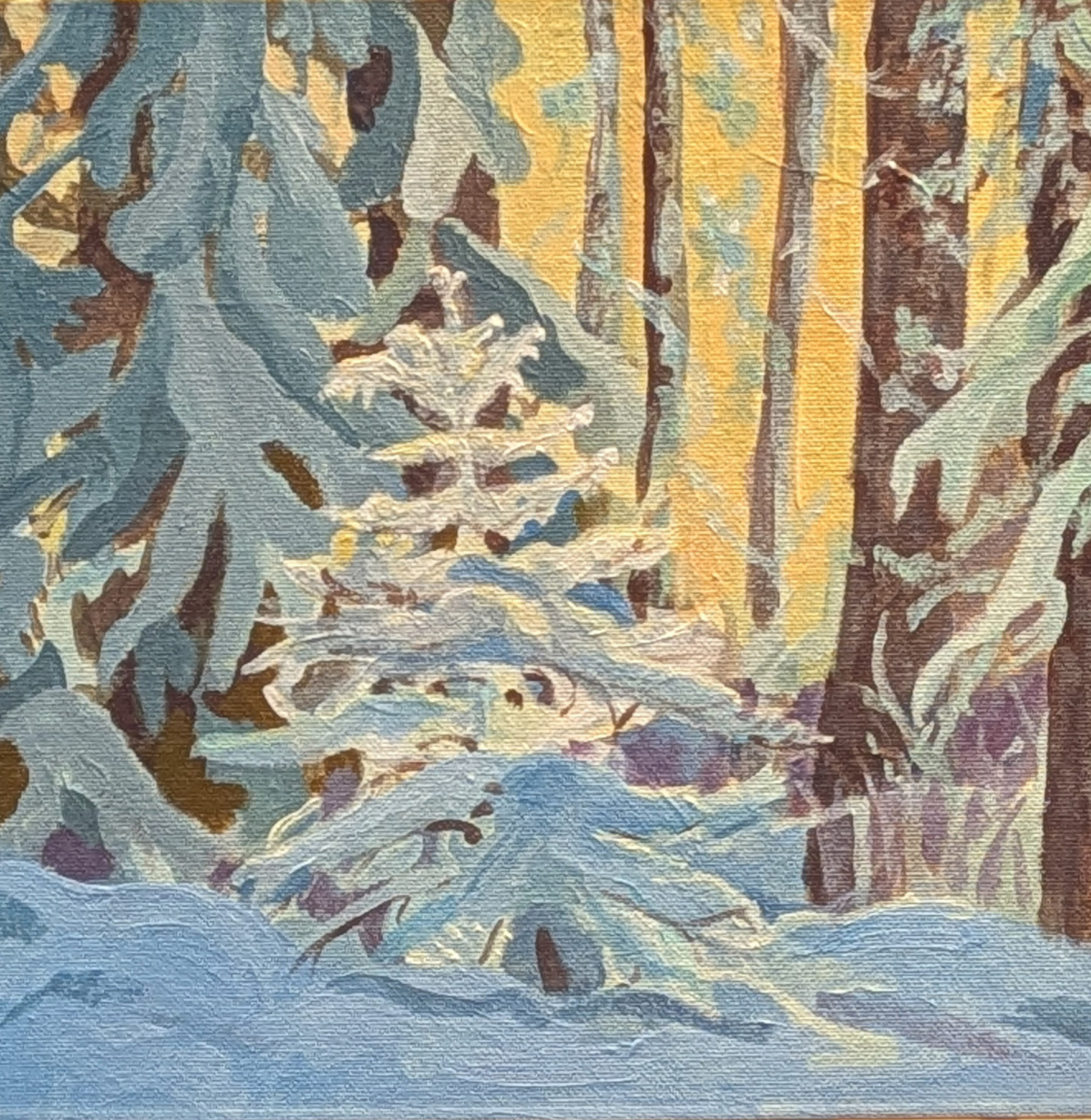 winterpine