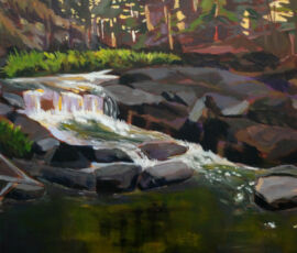 Denise Tipton 2024 14 middle fallsw