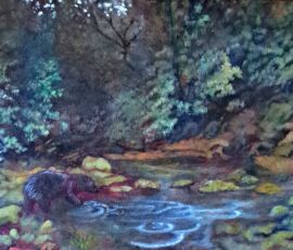 bear on vancouver island oil $200