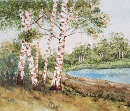 Doris Power birches at sunset