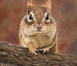 Brian Bailey brian bailey cute chipmunk