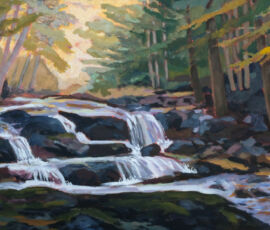 Denise Tipton dtipton 2024 12 the upper fallsw