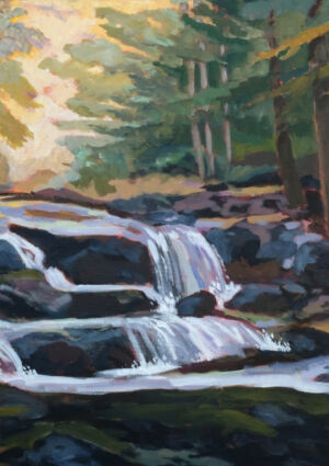 Denise Tipton - the upper falls 2024