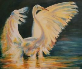 egret in light