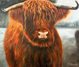 heidi the highlander scan
