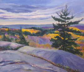 Kim Fournier k.fournier view from blueberry hill web