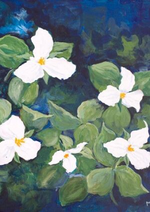 Aileen Merriam