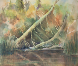 Aileen Merriam nemegosenda cedars watercolour