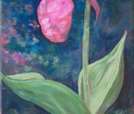Aileen Merriam pink moccasin flower acrylic