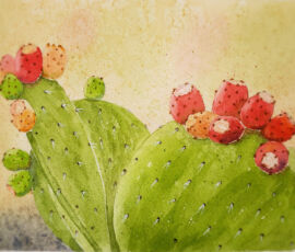 prickly pear cactus iii 11x14