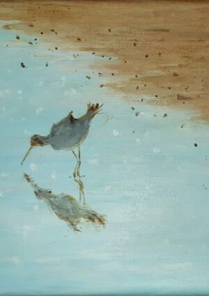 sand piper by Sarah Young-Fowler