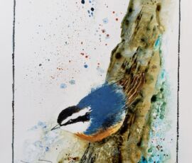 Doris Power yupo nuthatch june 2024