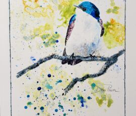 Doris Power yupo tree swallow june 2024