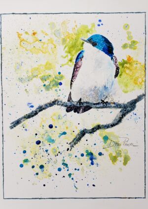 Doris Power - tree swallow june 2024