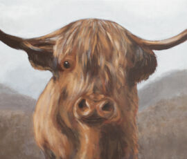 Barbara Jordan jordan highland cow