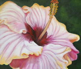 Barbara Jordan jordan kates hibiscus