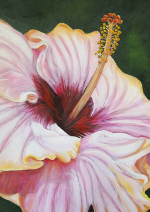 Barbara Jordan - Kate's Hibiscus