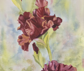 Sherry-Lynn Rogers sherry rogers iris