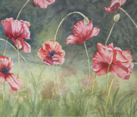 Sherry-Lynn Rogers sherry rogers poppies