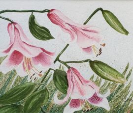 oriental pink 11x14