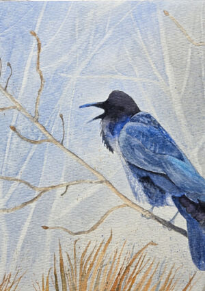 Doris Power - ravens call 8x10