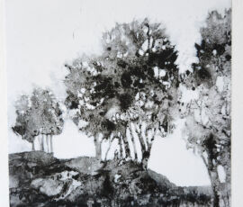 Carolyn Huff-Winters Carolyn Huff-Winters