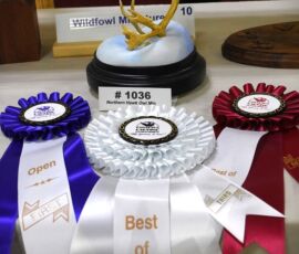 Ted Stewart - Best of Show ribbons and carving