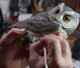 screech owl #9 ted stewart